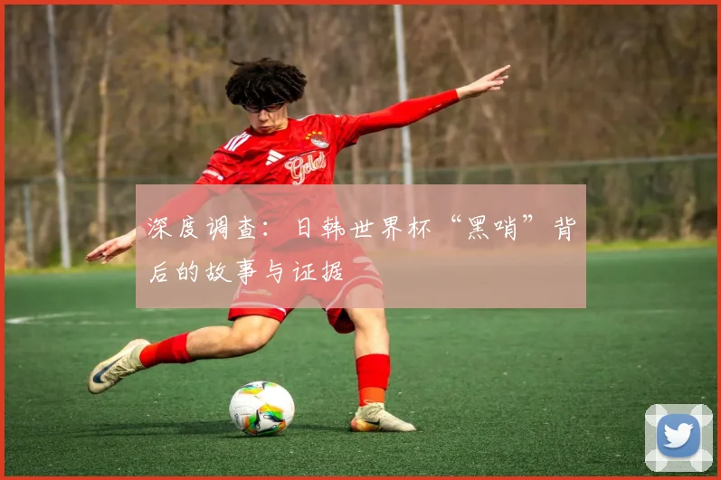 深度调查：日韩世界杯“黑哨”背后的故事与证据