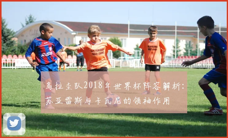 乌拉圭队2018年世界杯阵容解析：苏亚雷斯与卡瓦尼的领袖作用
