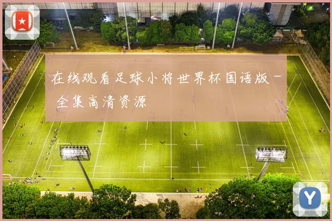在线观看足球小将世界杯国语版 - 全集高清资源