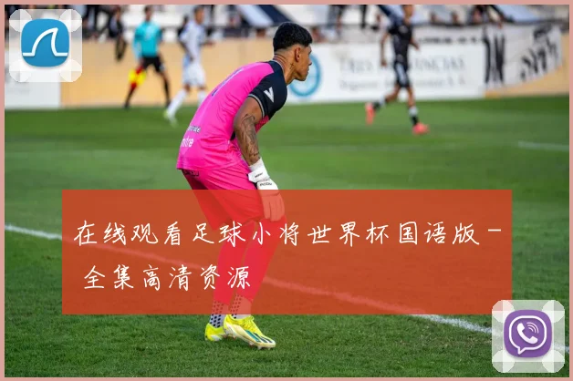 在线观看足球小将世界杯国语版 - 全集高清资源