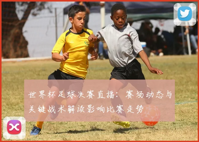 世界杯足球决赛直播：赛场动态与关键战术解读影响比赛走势