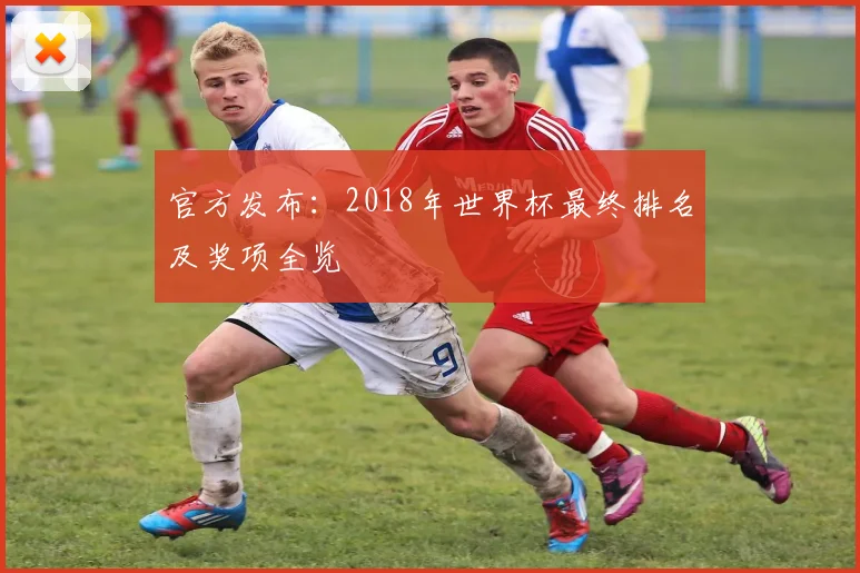 官方发布：2018年世界杯最终排名及奖项全览